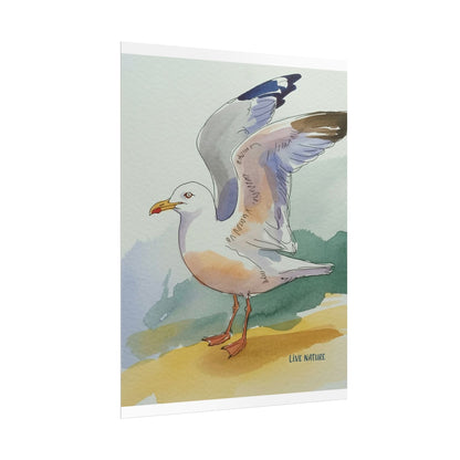 Seagull Watercolor Art Print 'Live Nature' Edition