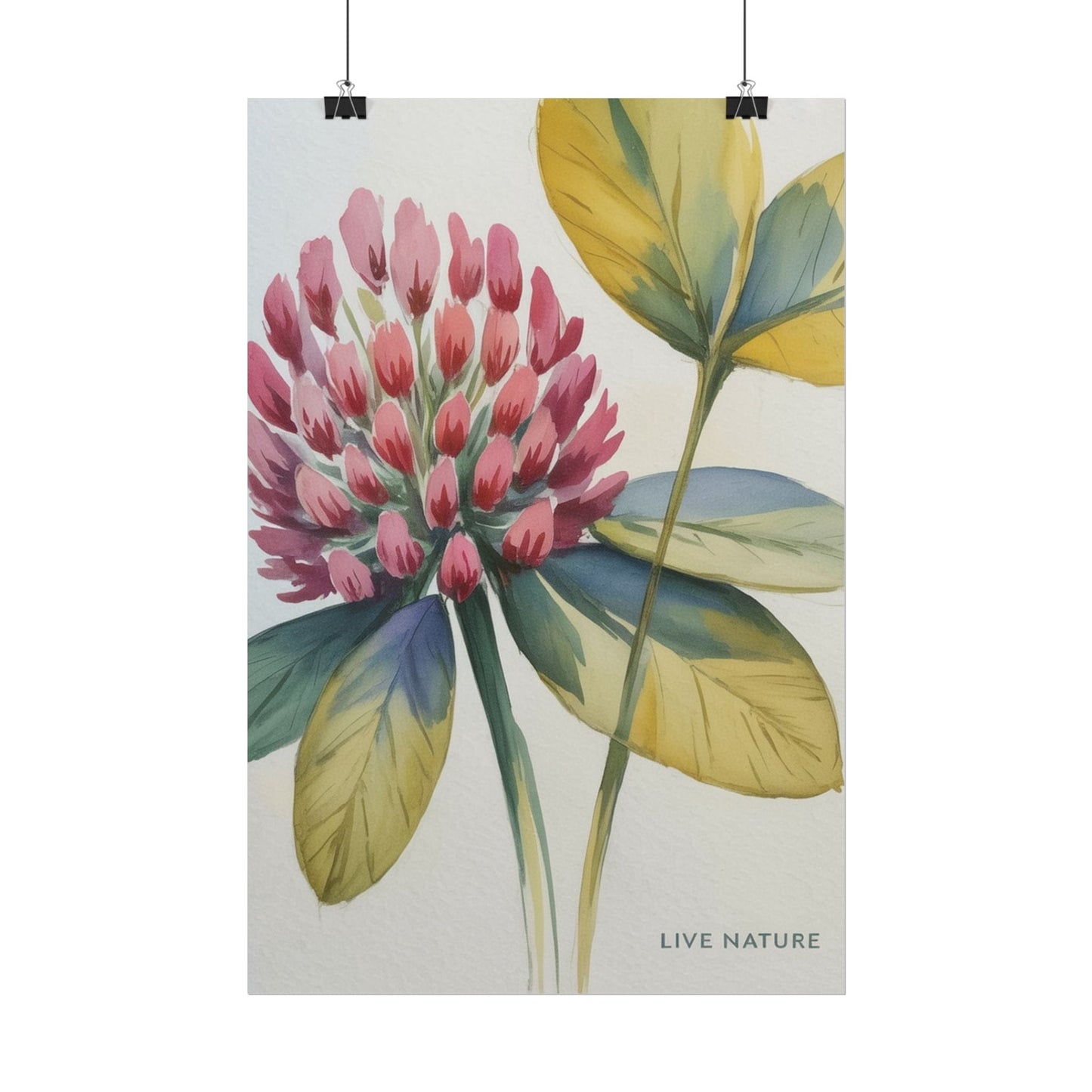 Red Clover Botanical Art Print 'Live Nature' Design