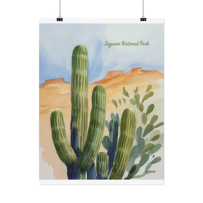 Saguaro National Park Watercolor Cactus Art Print
