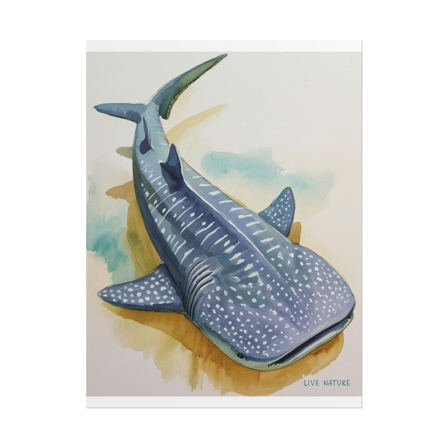 Whale Shark Watercolor Print Live Nature Design
