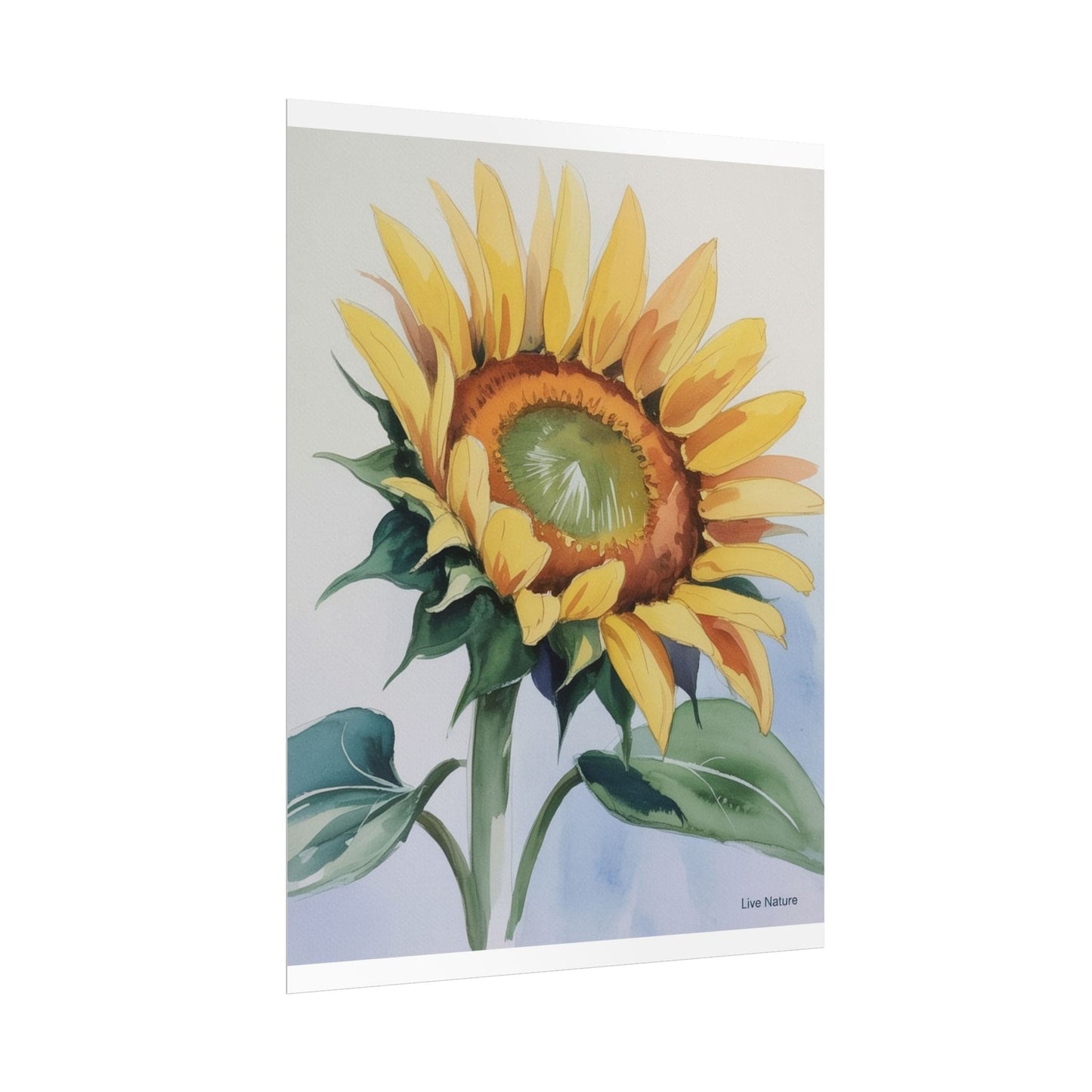 Kansas Sunflower Watercolor Art Print 'Live Nature