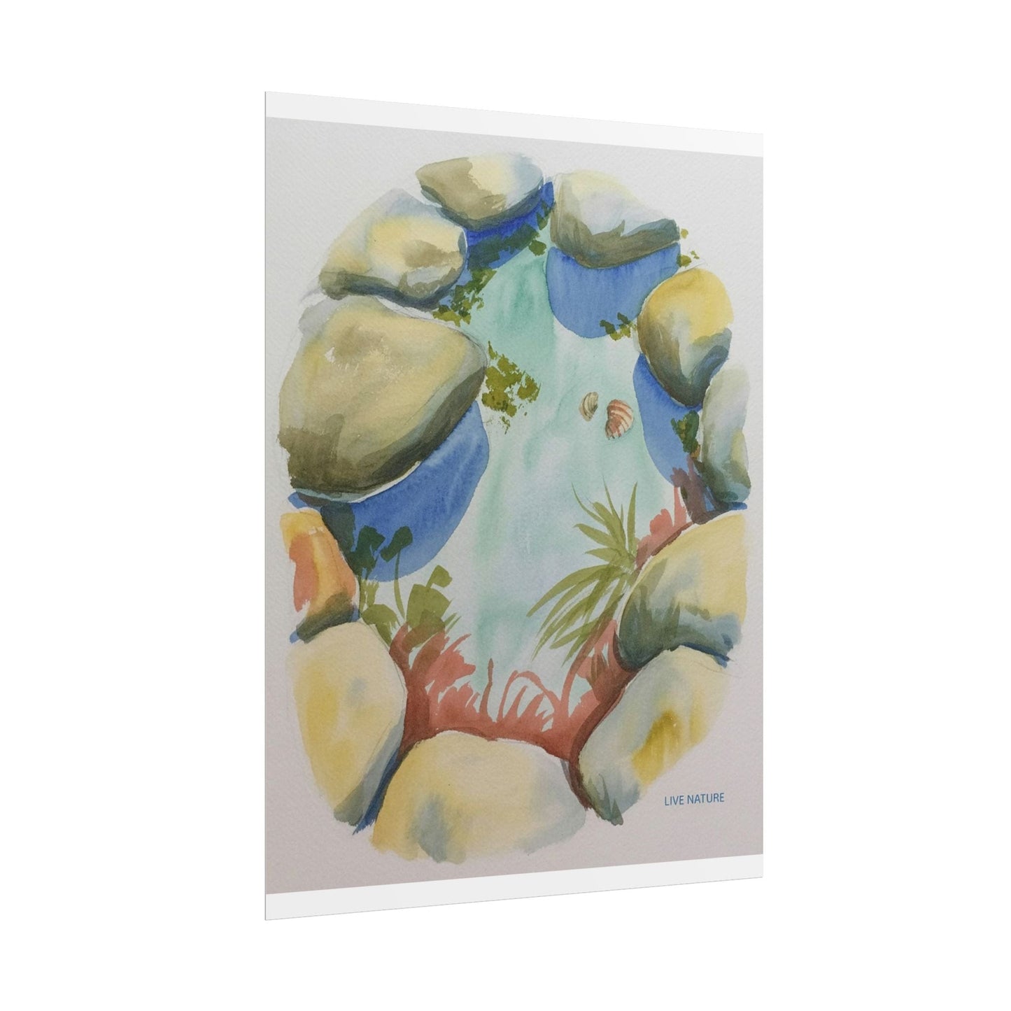 Rocky Tide Pool Watercolor Art Print 'Live Nature