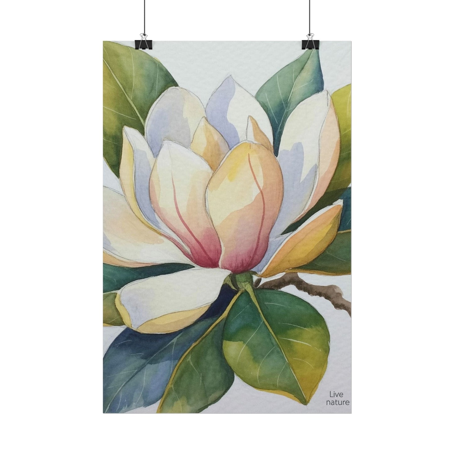 Magnolia Blossom Watercolor Print Fine Art Poster