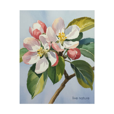 Apple Blossom Watercolor Art Print 'Live Nature' Design