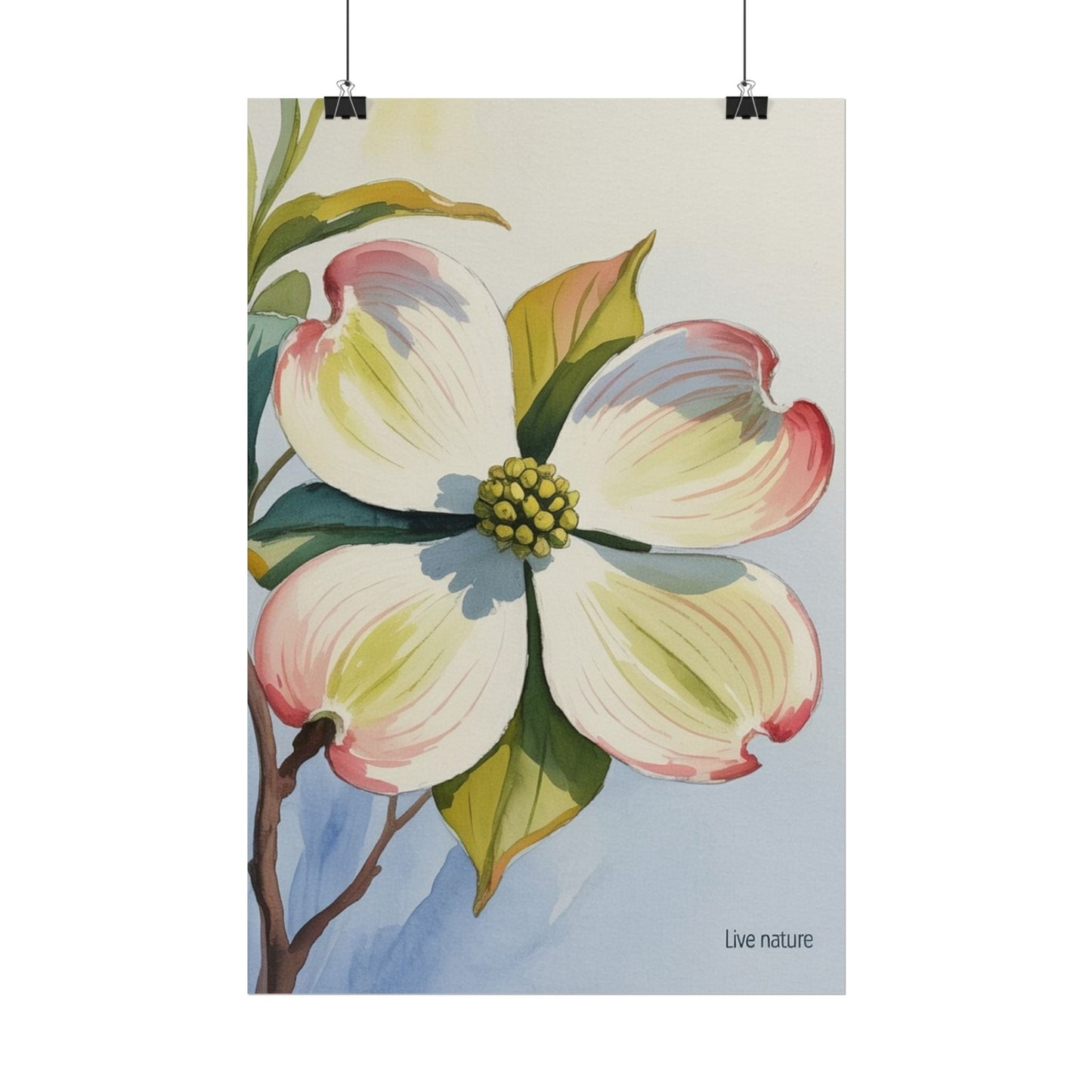 North Carolina Dogwood Watercolor Art Print