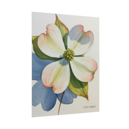 Flowering Dogwood Watercolor Print 'Live Nature