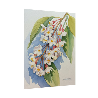 Idaho Syringa Blossom Watercolor Art Print Poster