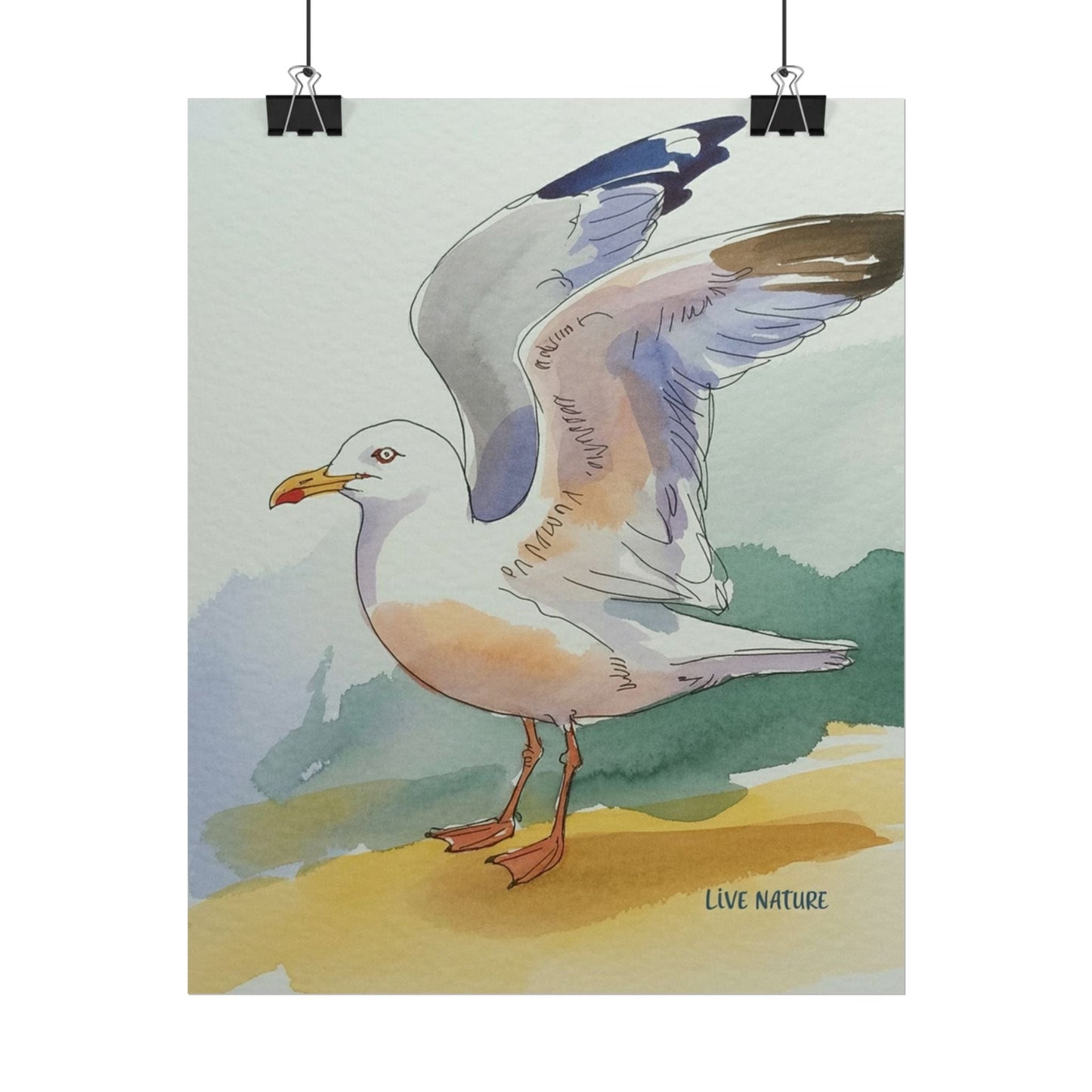 Seagull Watercolor Art Print 'Live Nature' Edition