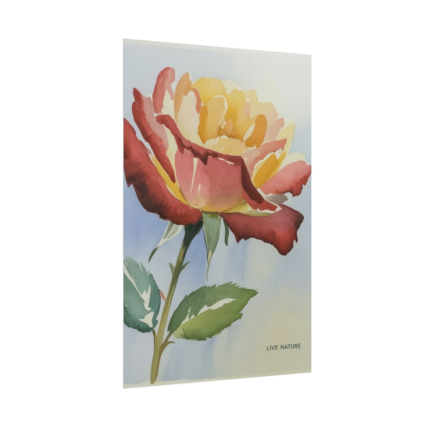New York State Rose Watercolor Art Print