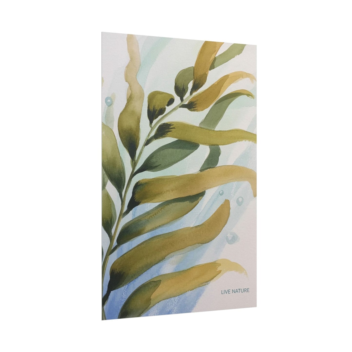 Live Nature Kelp Watercolor Print Poster