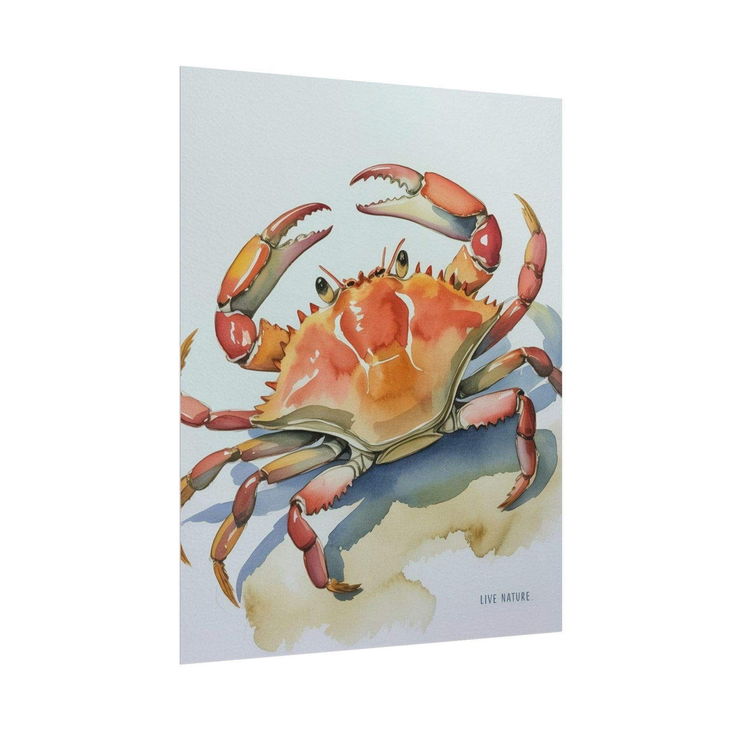 Live Nature Crab Watercolor Art Print Poster