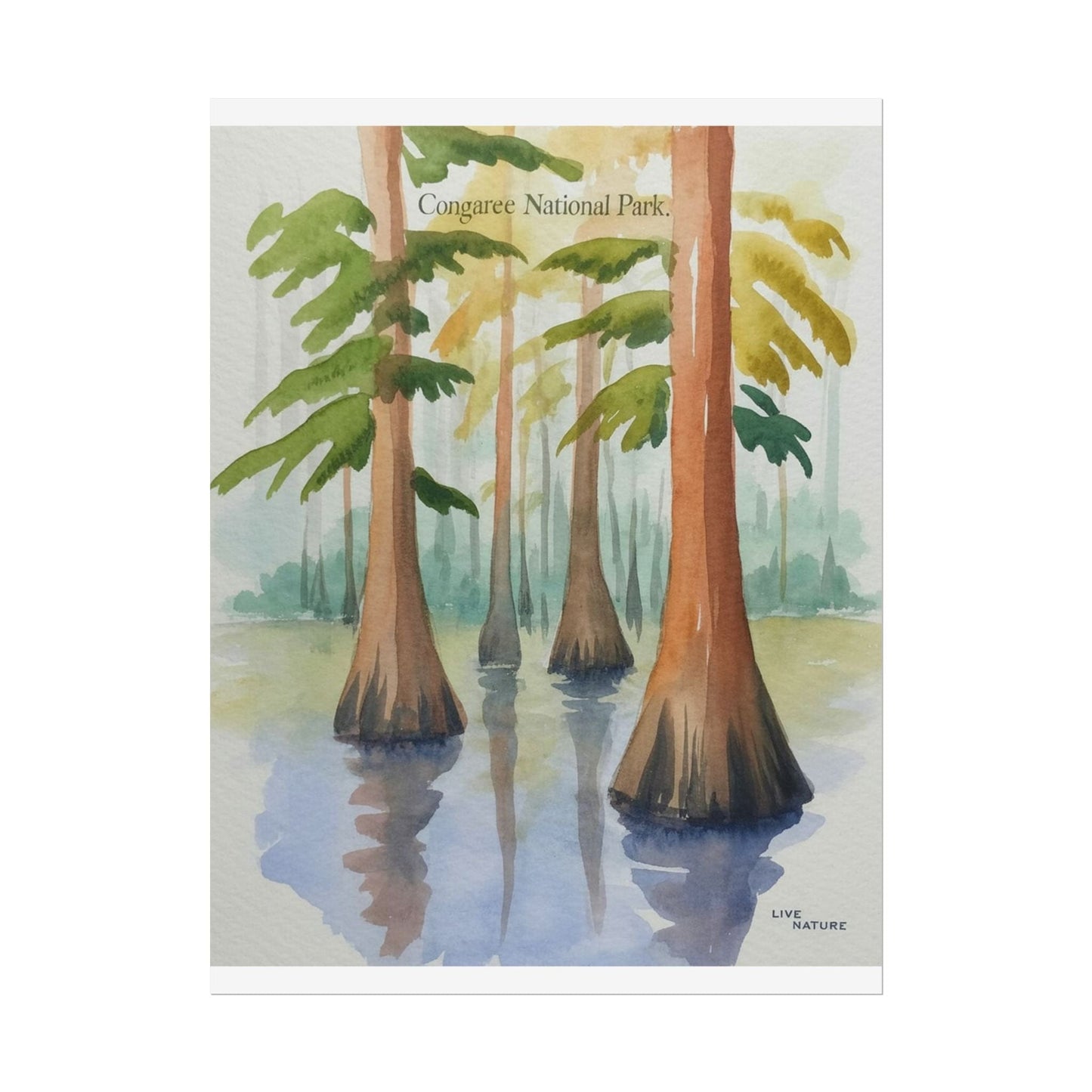 Congaree National Park Cypress Watercolor Poster