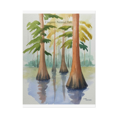 Congaree National Park Cypress Watercolor Poster
