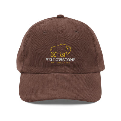 Yellow Stone Natl Park