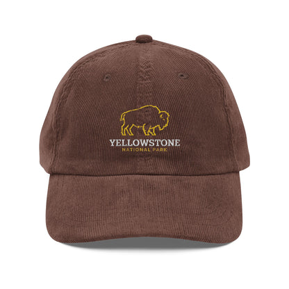 Yellow Stone Natl Park