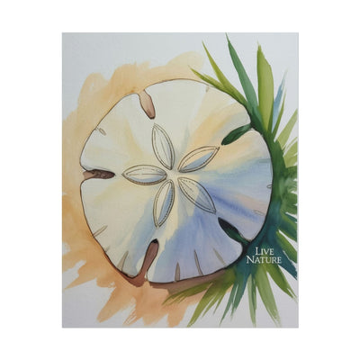 Sand Dollar Watercolor Print with 'Live Nature' Text