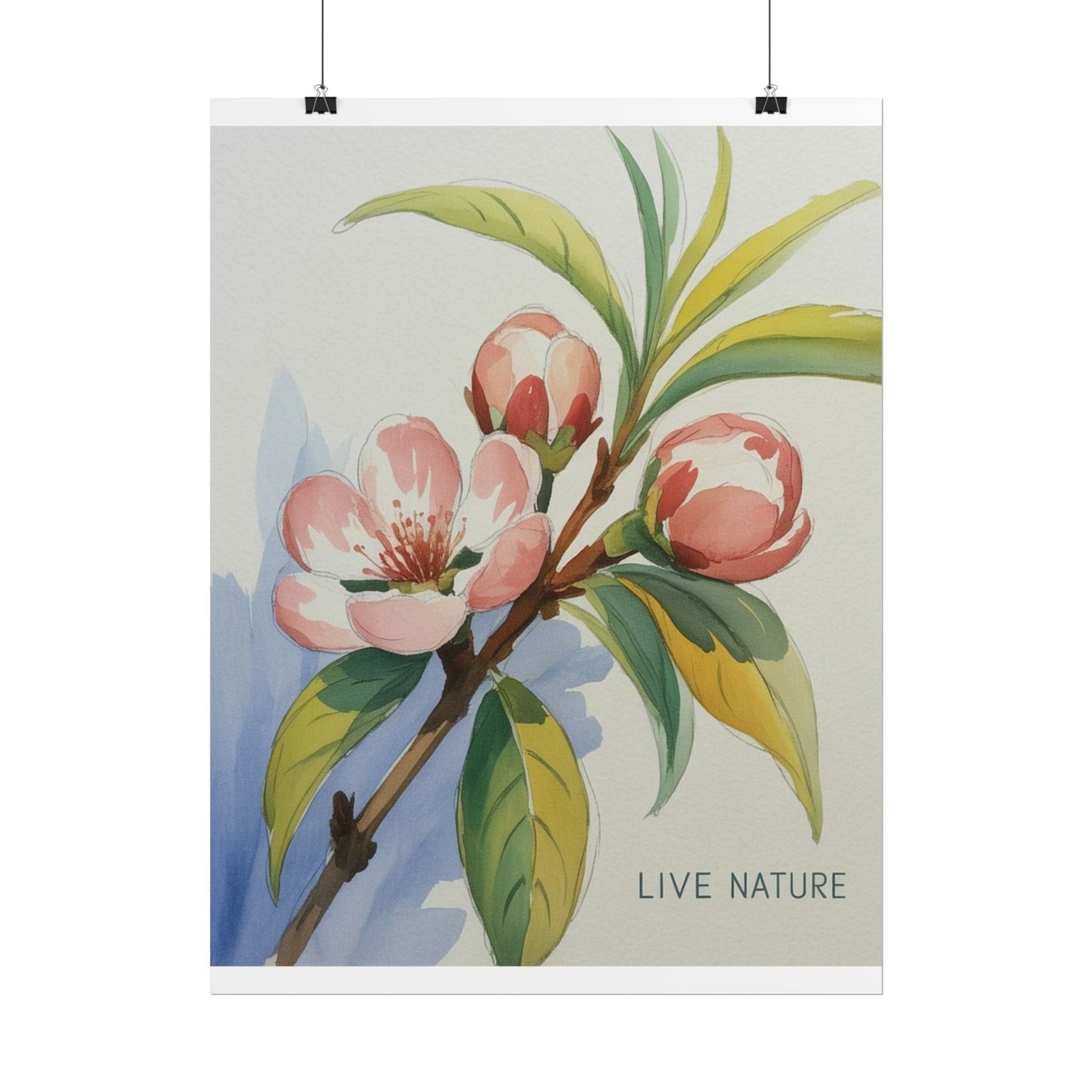 Peach Blossom Live Nature Art Print Poster