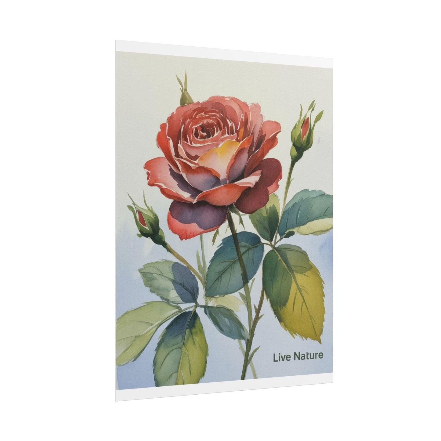 Live Nature Watercolor Rose Art Print Poster