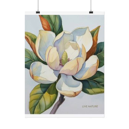 Magnolia Blossom Art Print on Fine Art Paper