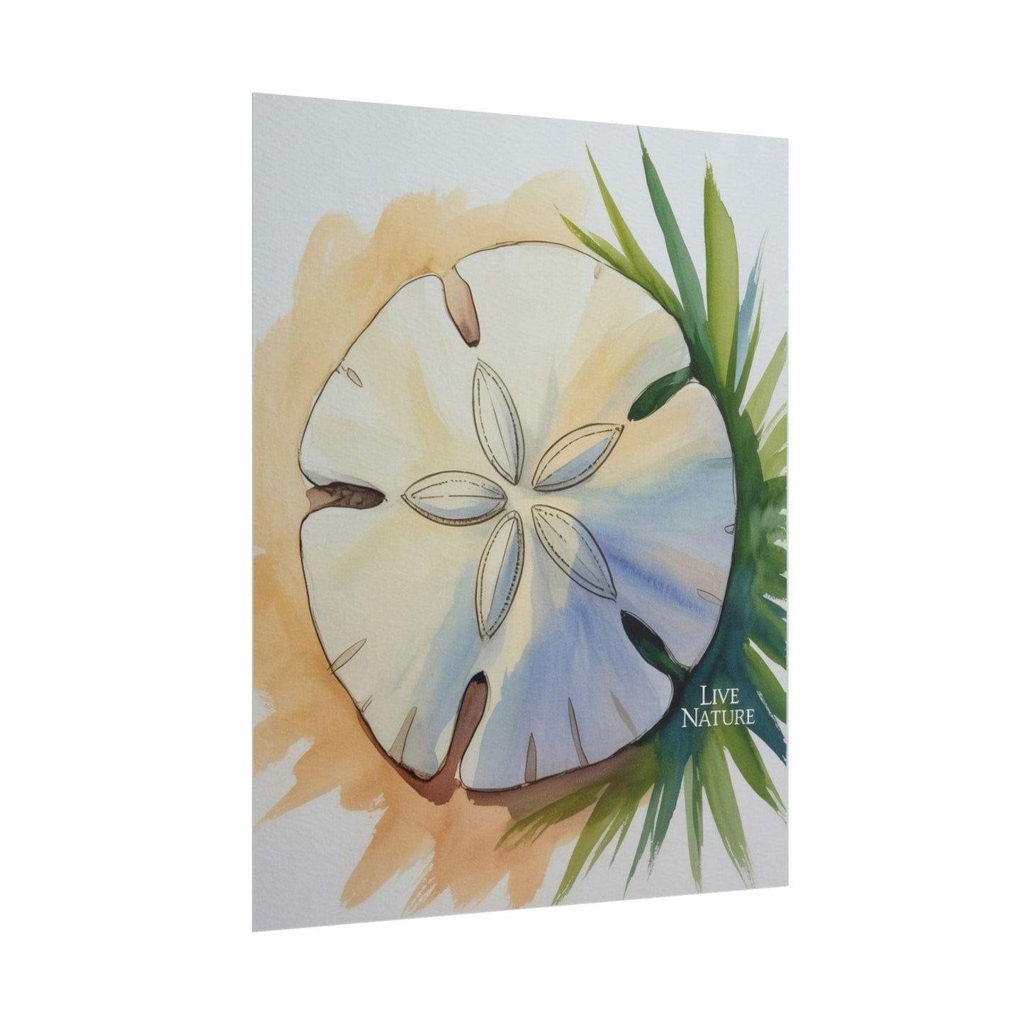 Sand Dollar Watercolor Print with 'Live Nature' Text