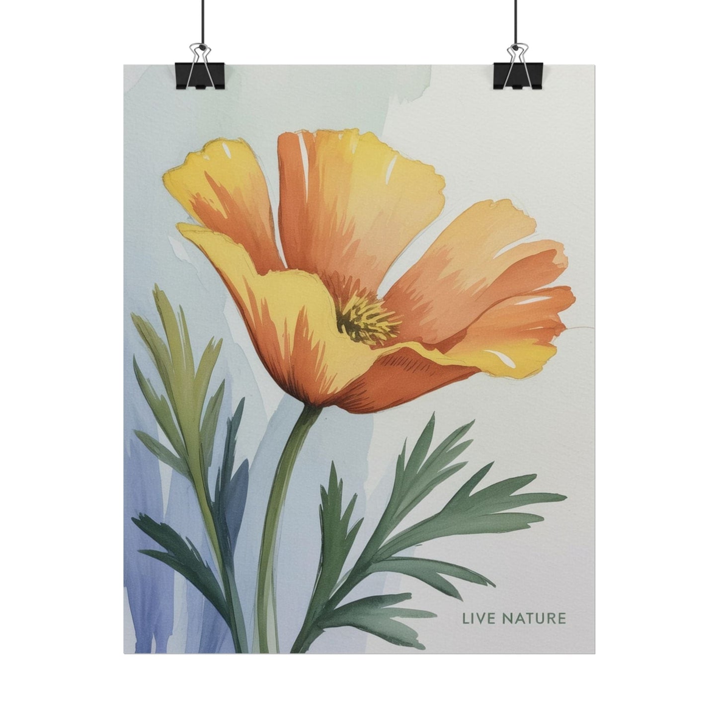 California Poppy Watercolor Art Print 'Live Nature
