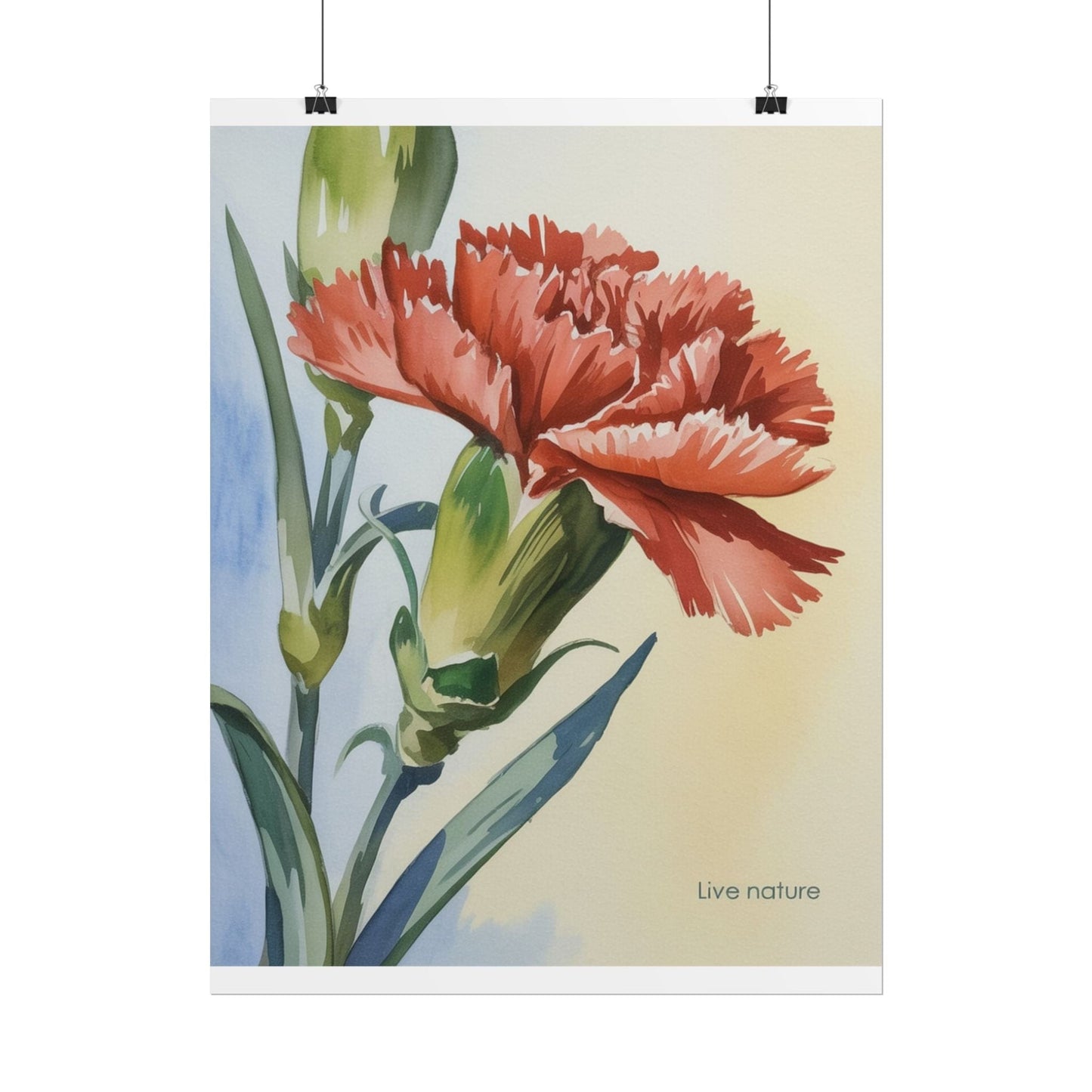 Scarlet Carnation Watercolor Art Print 'Live Nature