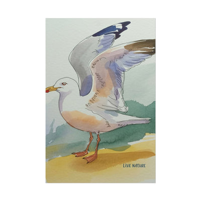 Seagull Watercolor Art Print 'Live Nature' Edition