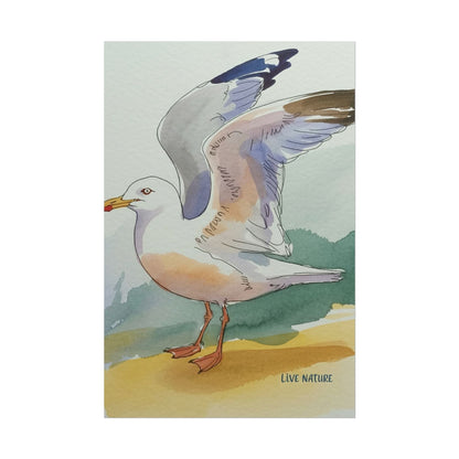 Seagull Watercolor Art Print 'Live Nature' Edition