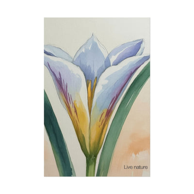 Sego Lily Watercolor Print Utah State Flower Art