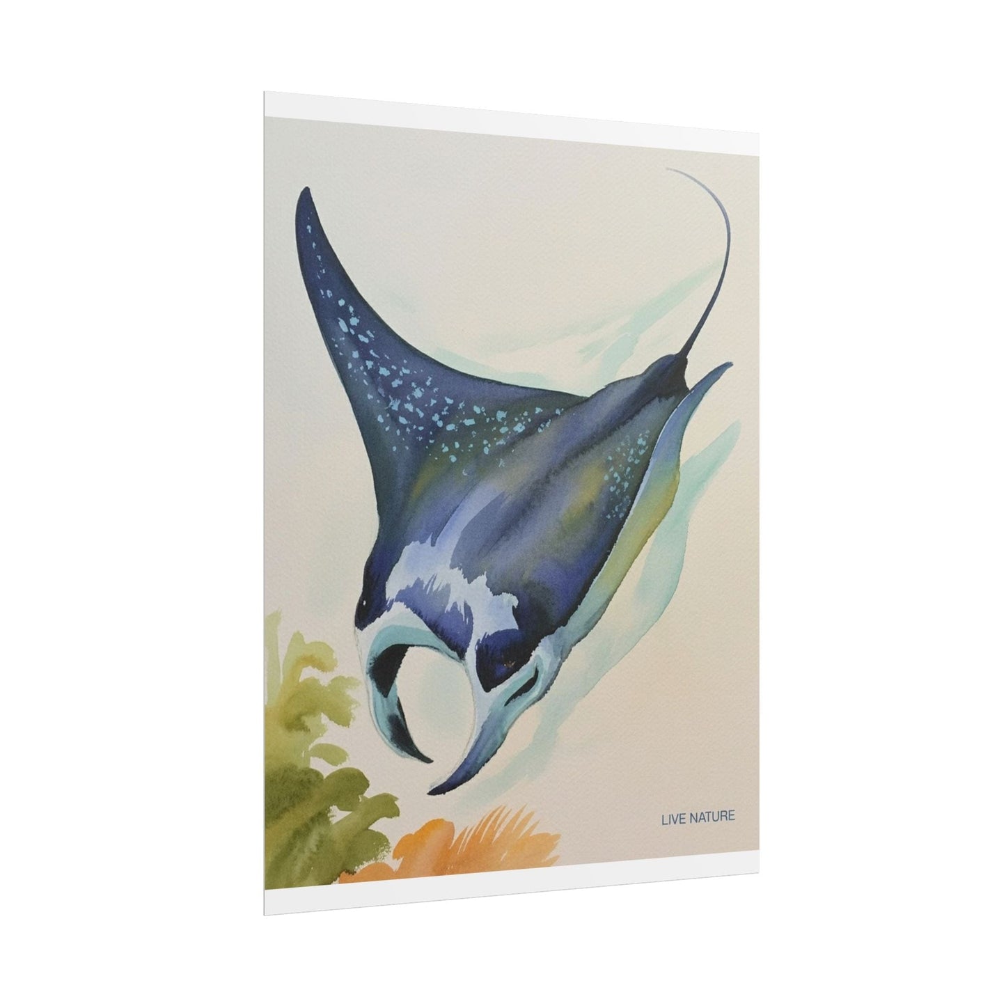 Manta Ray Watercolor Art Print 'Live Nature' Design