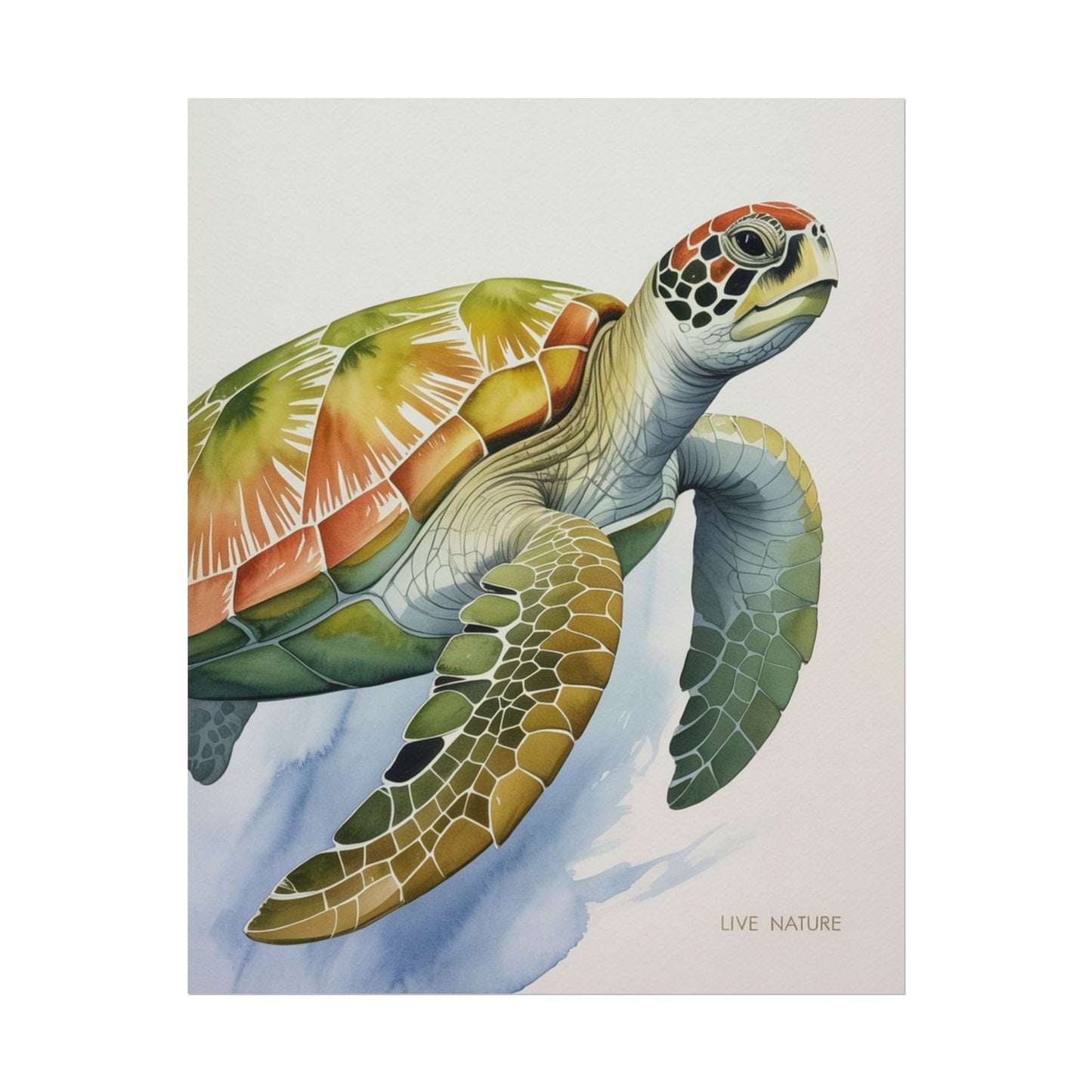 Sea Turtle Watercolor Art Print 'Live Nature' Design