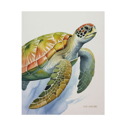 Sea Turtle Watercolor Art Print 'Live Nature' Design