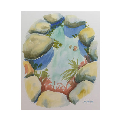 Rocky Tide Pool Watercolor Art Print 'Live Nature