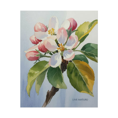 Apple Blossom Watercolor Print 'Live Nature' Design