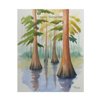 Congaree National Park Cypress Watercolor Poster
