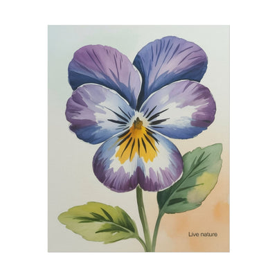 Purple Pansy Watercolor Poster Art Print - Live Nature