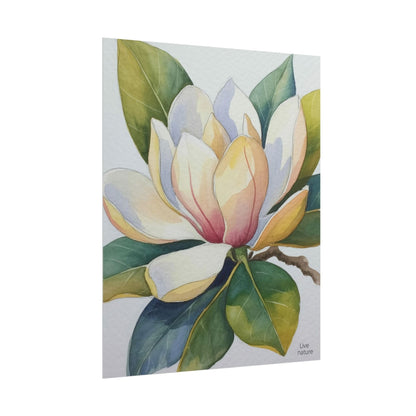 Magnolia Blossom Watercolor Print Fine Art Poster