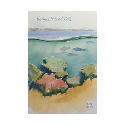 Biscayne National Park Underwater Watercolor Print