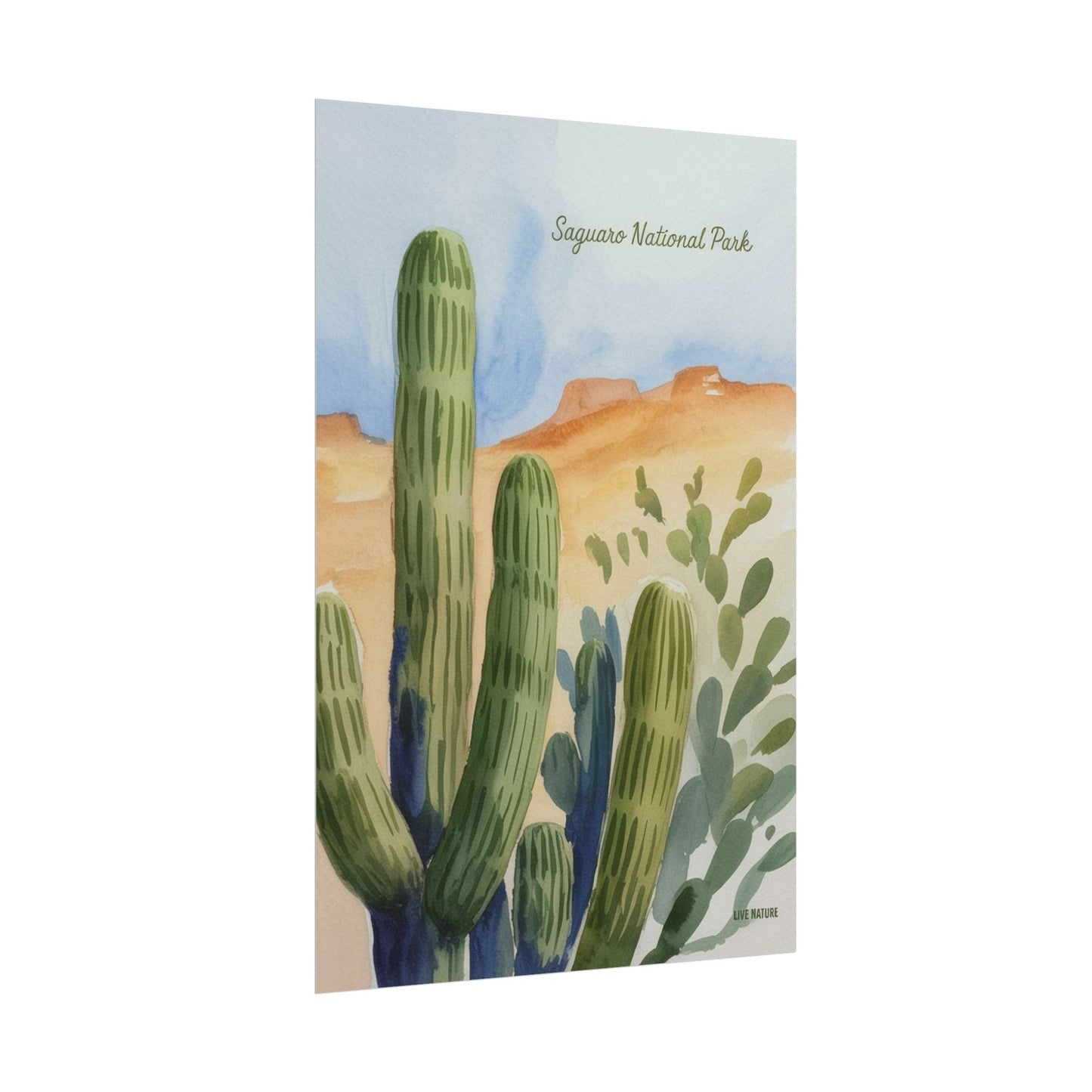 Saguaro National Park Watercolor Cactus Art Print