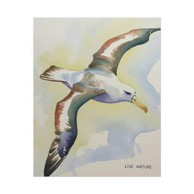 Albatross Watercolor Art Print - Live Nature Design