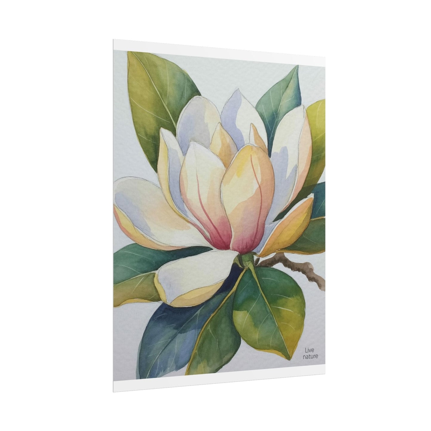 Magnolia Blossom Watercolor Print Fine Art Poster