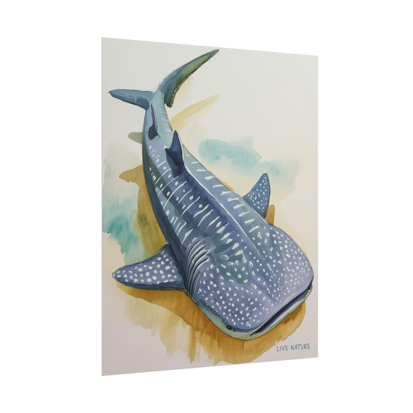 Whale Shark Watercolor Print Live Nature Design