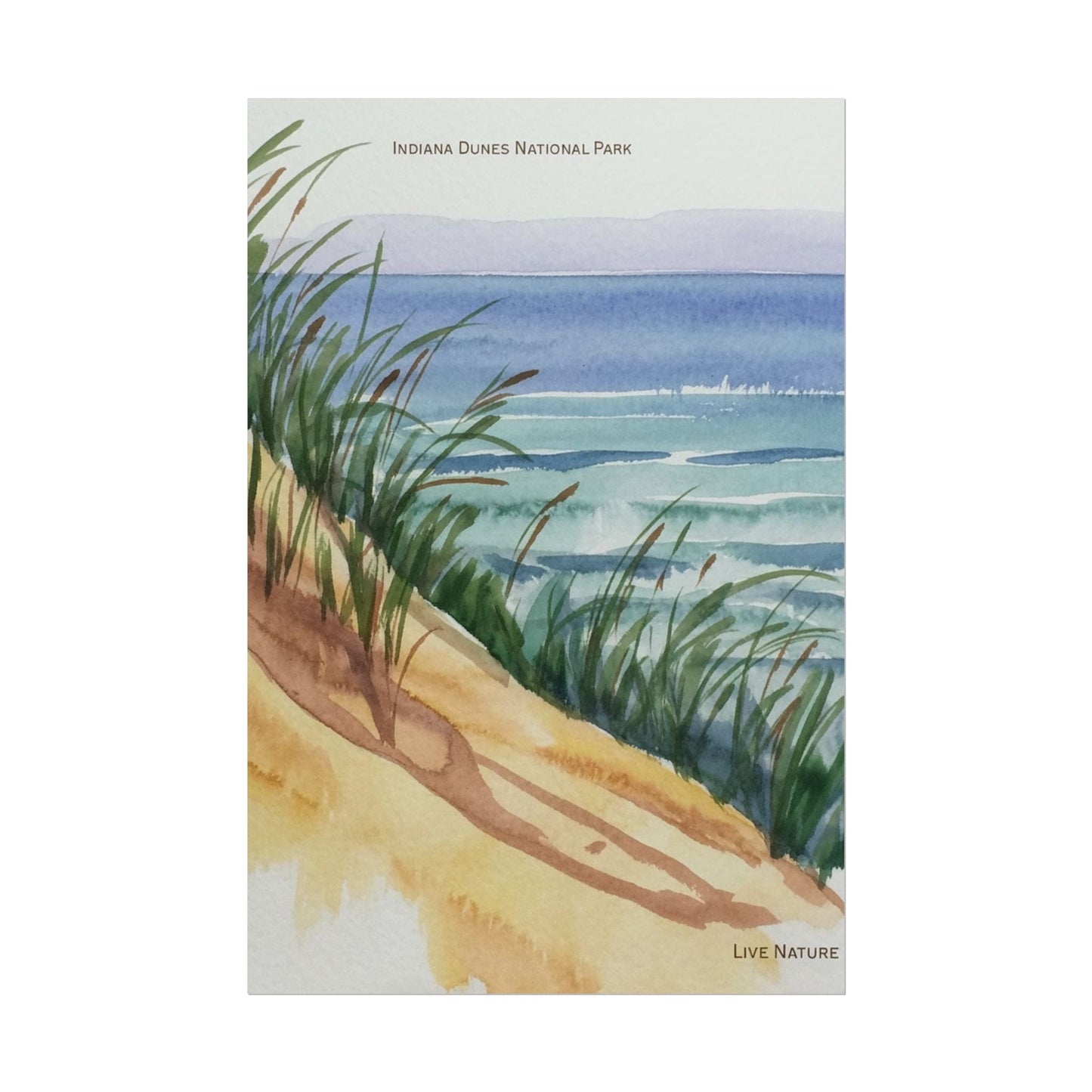 Indiana Dunes National Park Watercolor Print