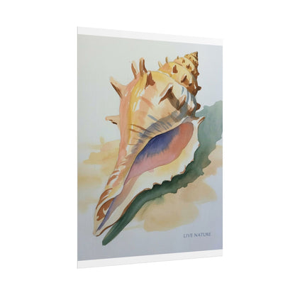 Conch Shell Watercolor Print 'Live Nature' Design