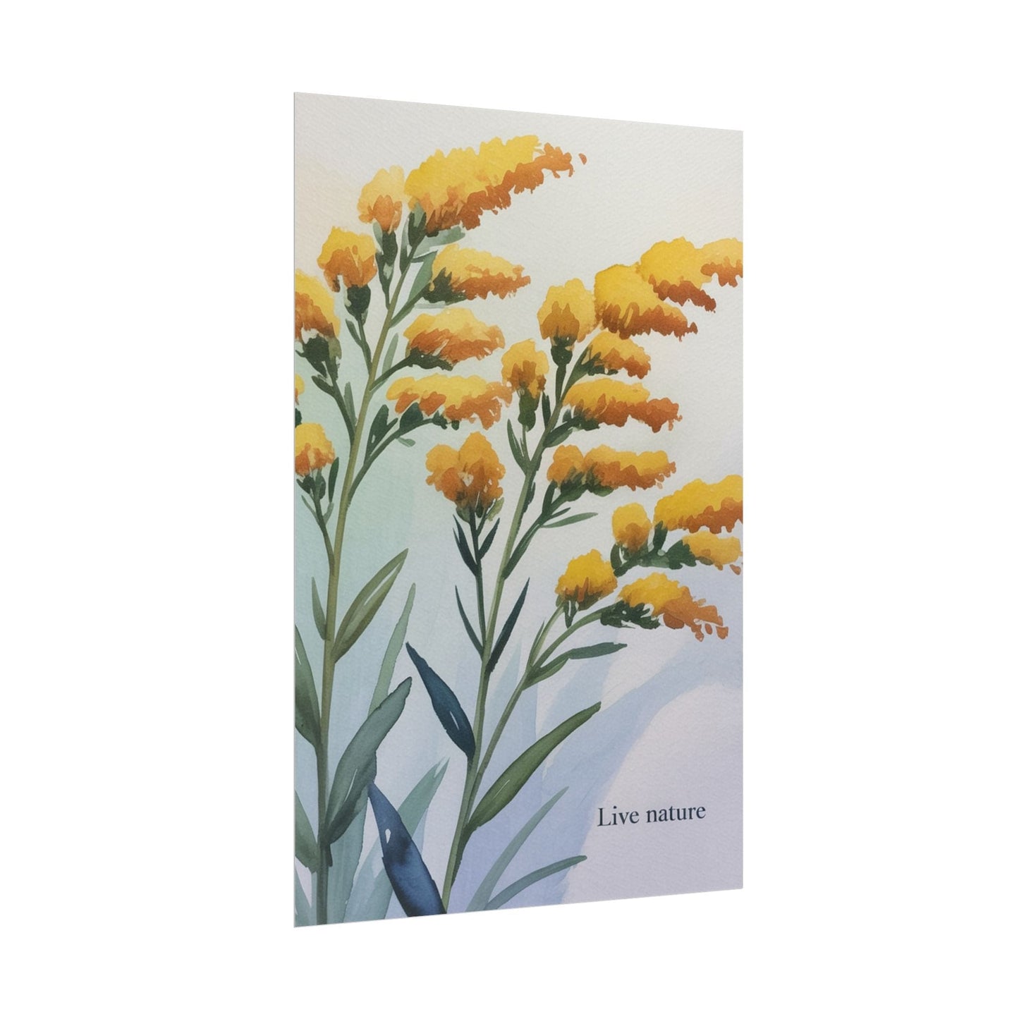 Goldenrod Flower Watercolor Poster - Live Nature Art