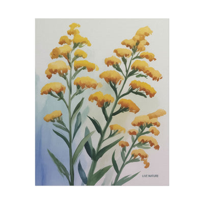 Goldenrod Watercolor Botanical Art Print 'Live Nature