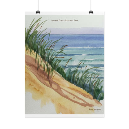 Indiana Dunes National Park Watercolor Print
