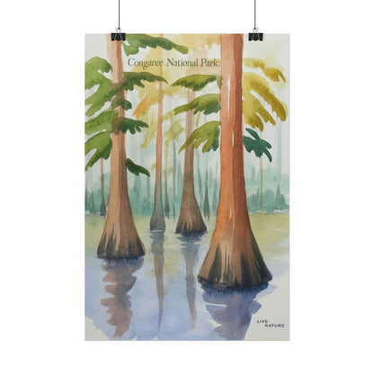 Congaree National Park Cypress Watercolor Poster