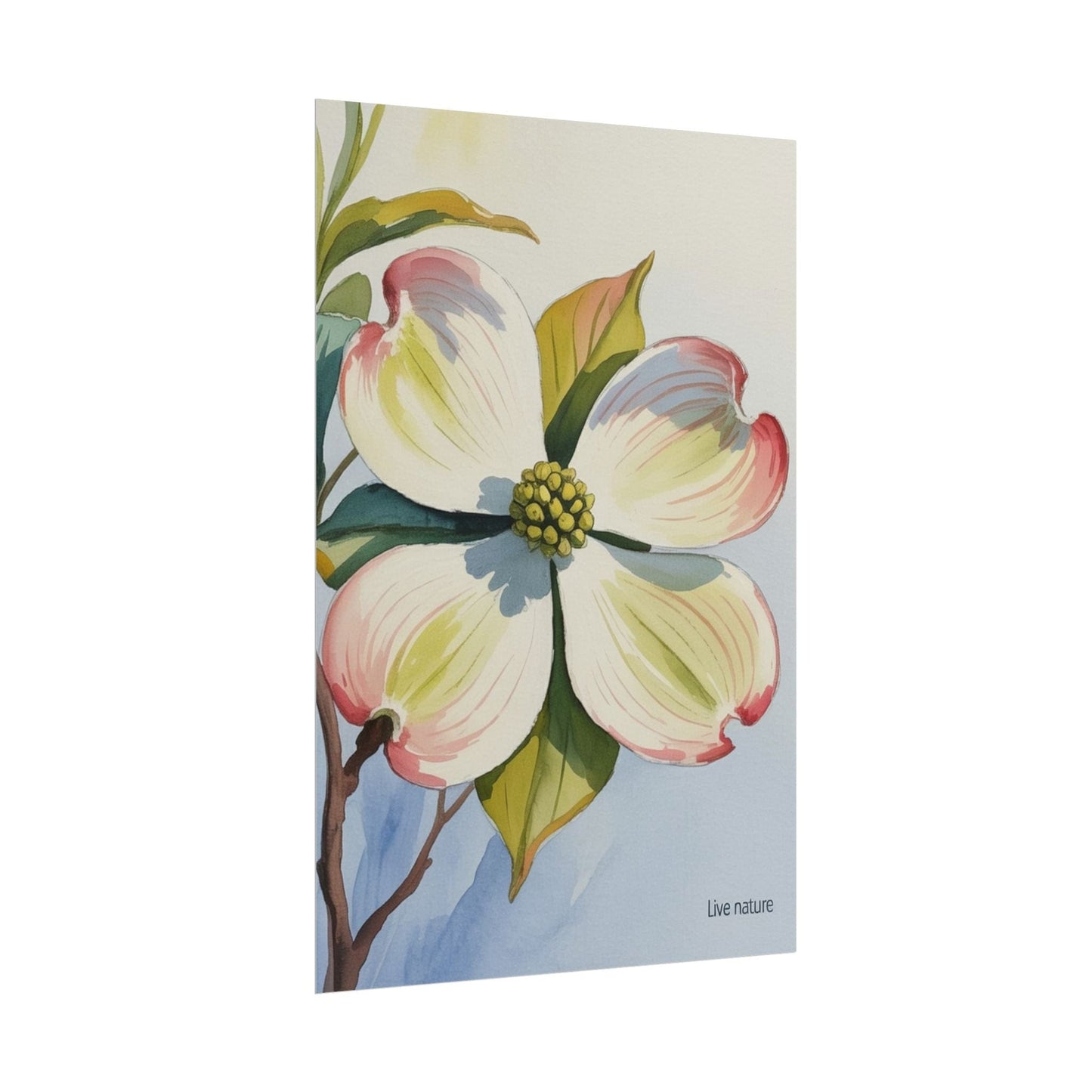 North Carolina Dogwood Watercolor Art Print