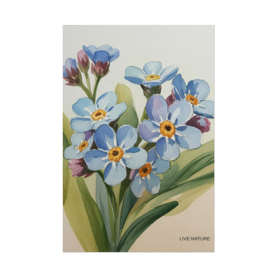 Alaska Forget-Me-Not Floral Watercolor Art Print